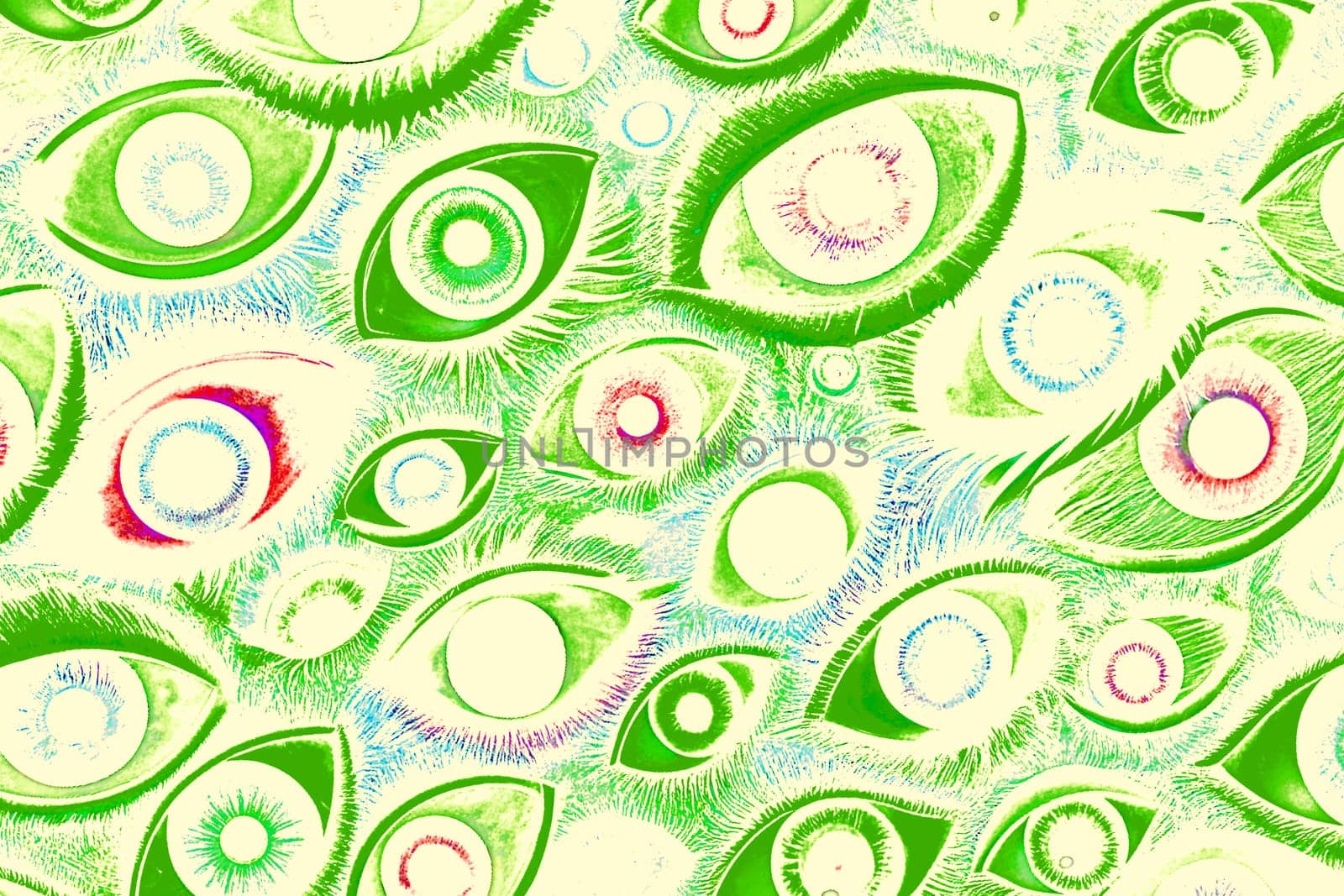 each of a pair of globular organs in the head through which people and vertebrate animals see