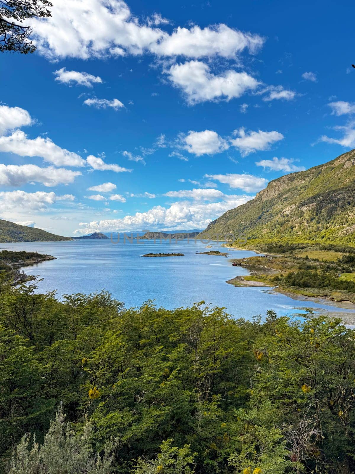 Stunning view of a bright blue lake with forested hills and dramatic clouds under a vivid Patagonian sky in Argentina.
