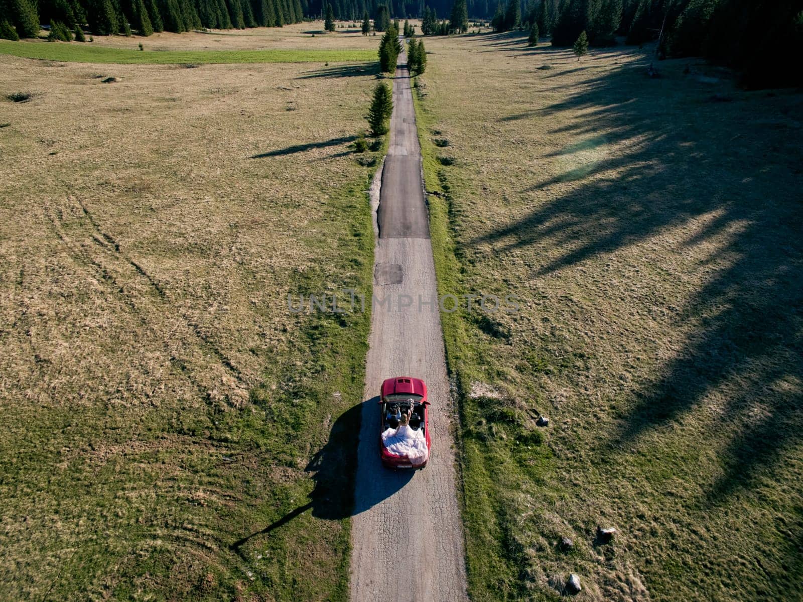 Groom carries bride standing in a cabriolet along the road past the trees. Top view. High quality photo