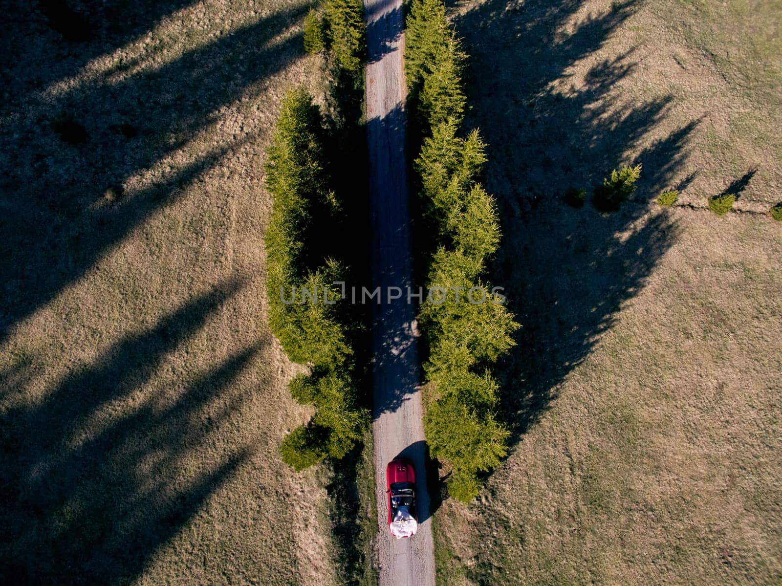 Bride and groom are riding in a cabriolet along the highway among the trees. Top view. High quality photo