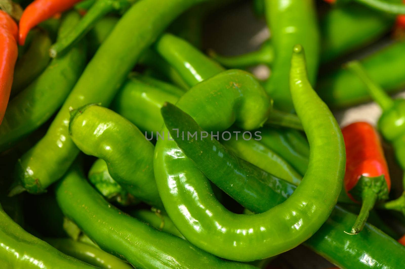 A colorful array of fresh chili peppers, showcasing bright green and red hues, sprawled across a wooden surface, reflecting the bountiful harvest typical of summer markets.