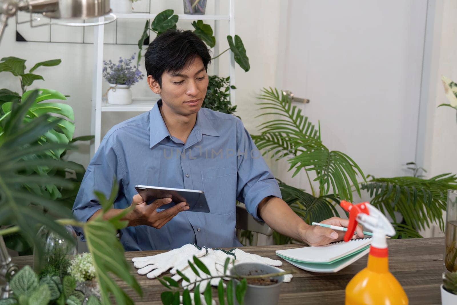 A gardener reviews plant care methods on a tablet, reflecting on planning strategies for sustainable and healthy gardening practices.