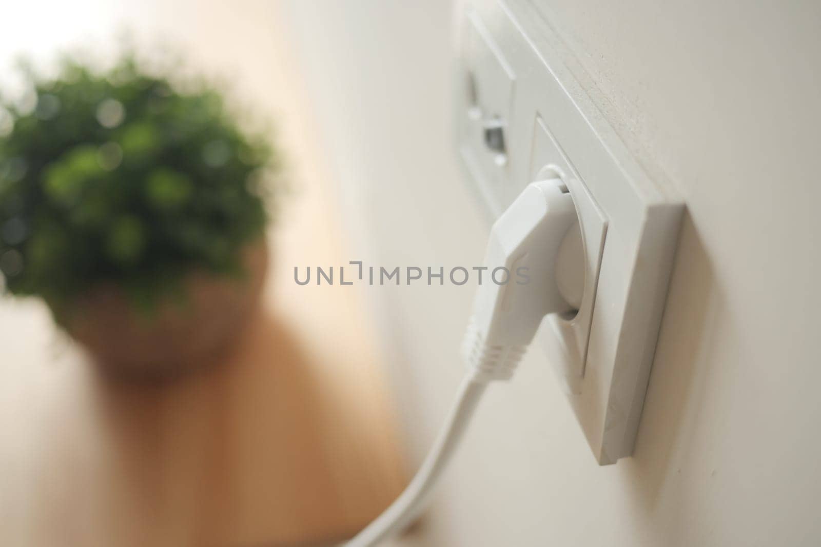 Electric cord connected to a wall socket beside a decorative plant.