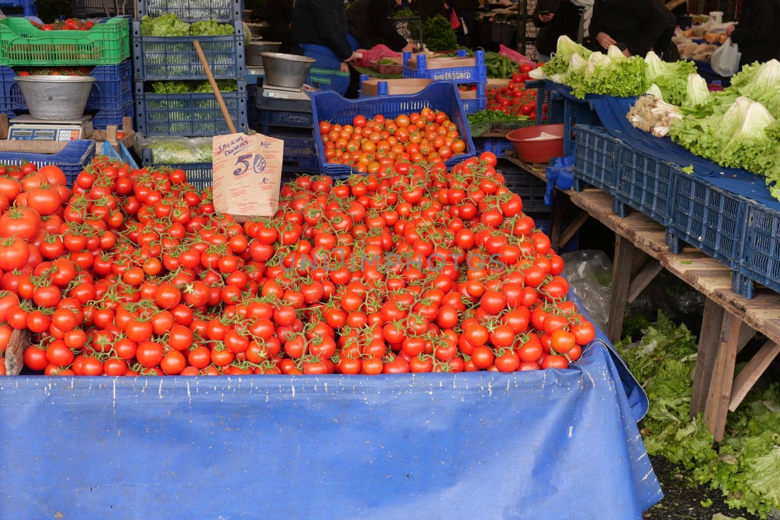 Local vendors display ripe tomatoes surrounded by vibrant produce.