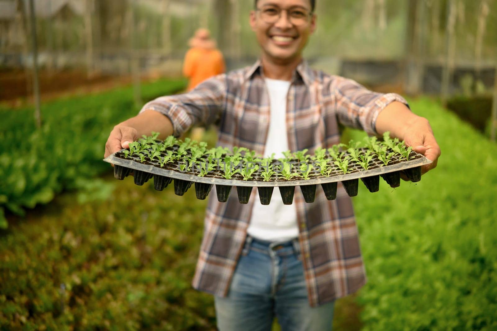 Smiling farmer showing seedling tray in organic greenhouse.