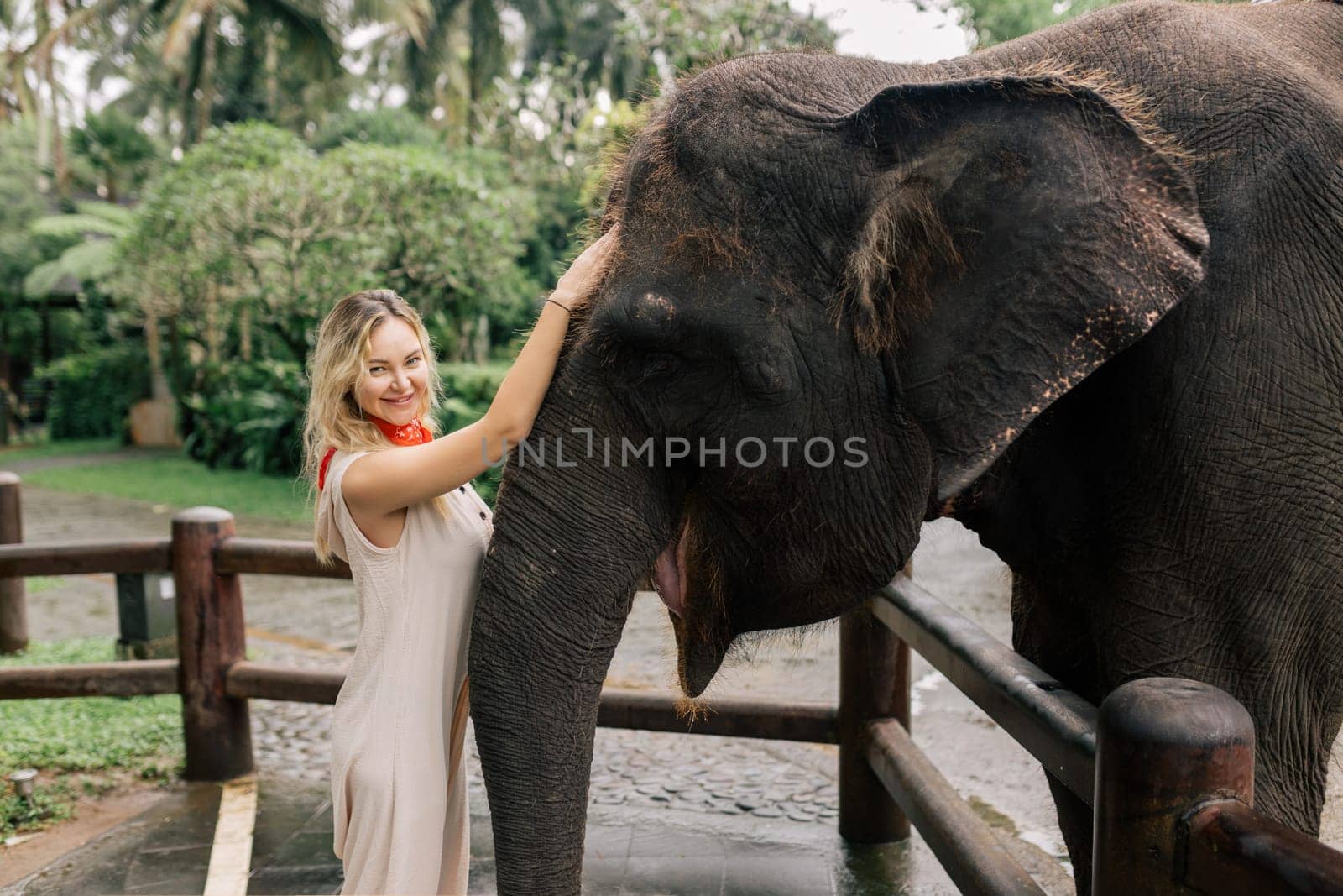 beautiful girl with smiling elephant, elephant village, bali.