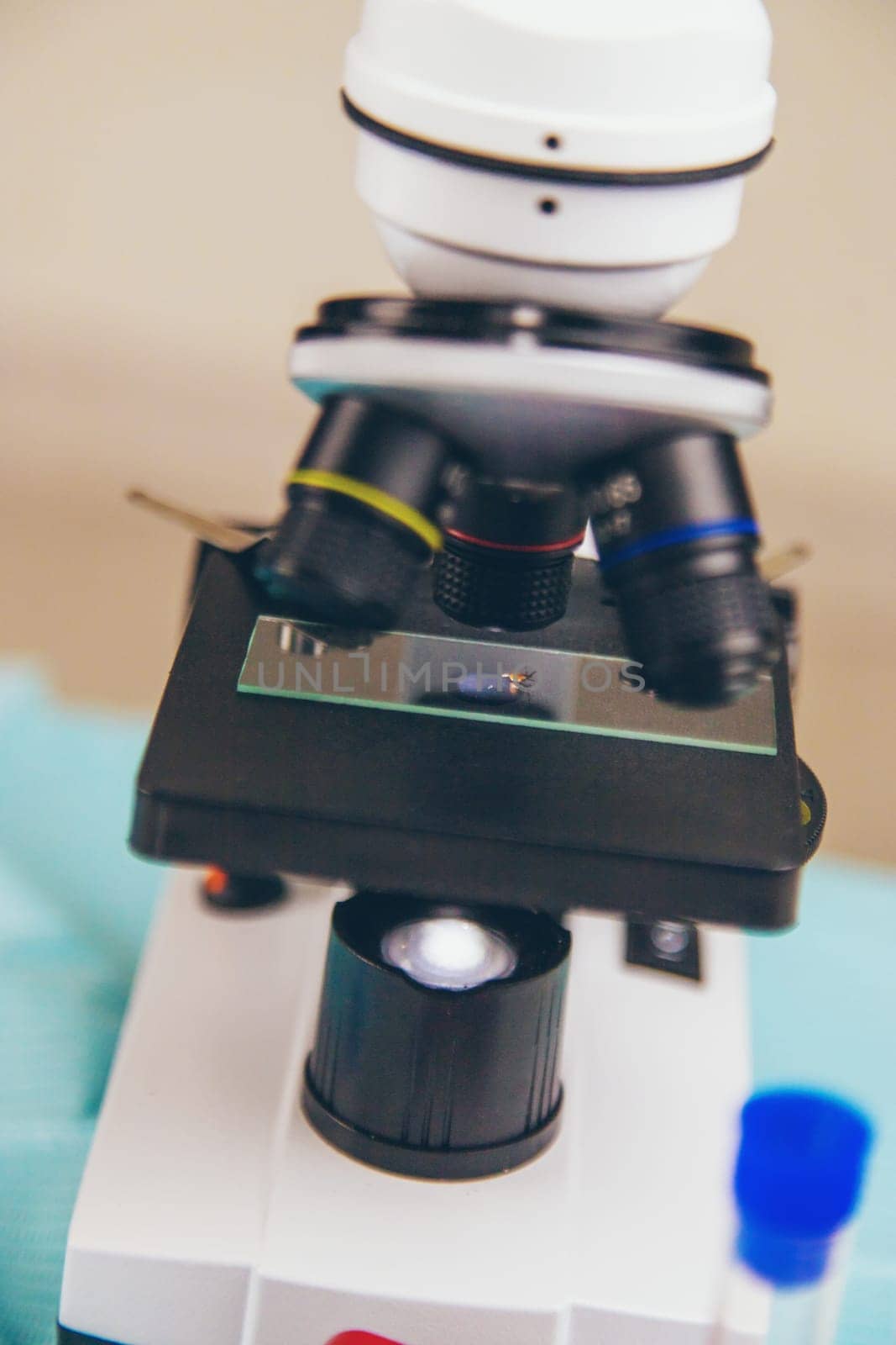 Tick in a test tube in the laboratory. Selective focus. Nature.