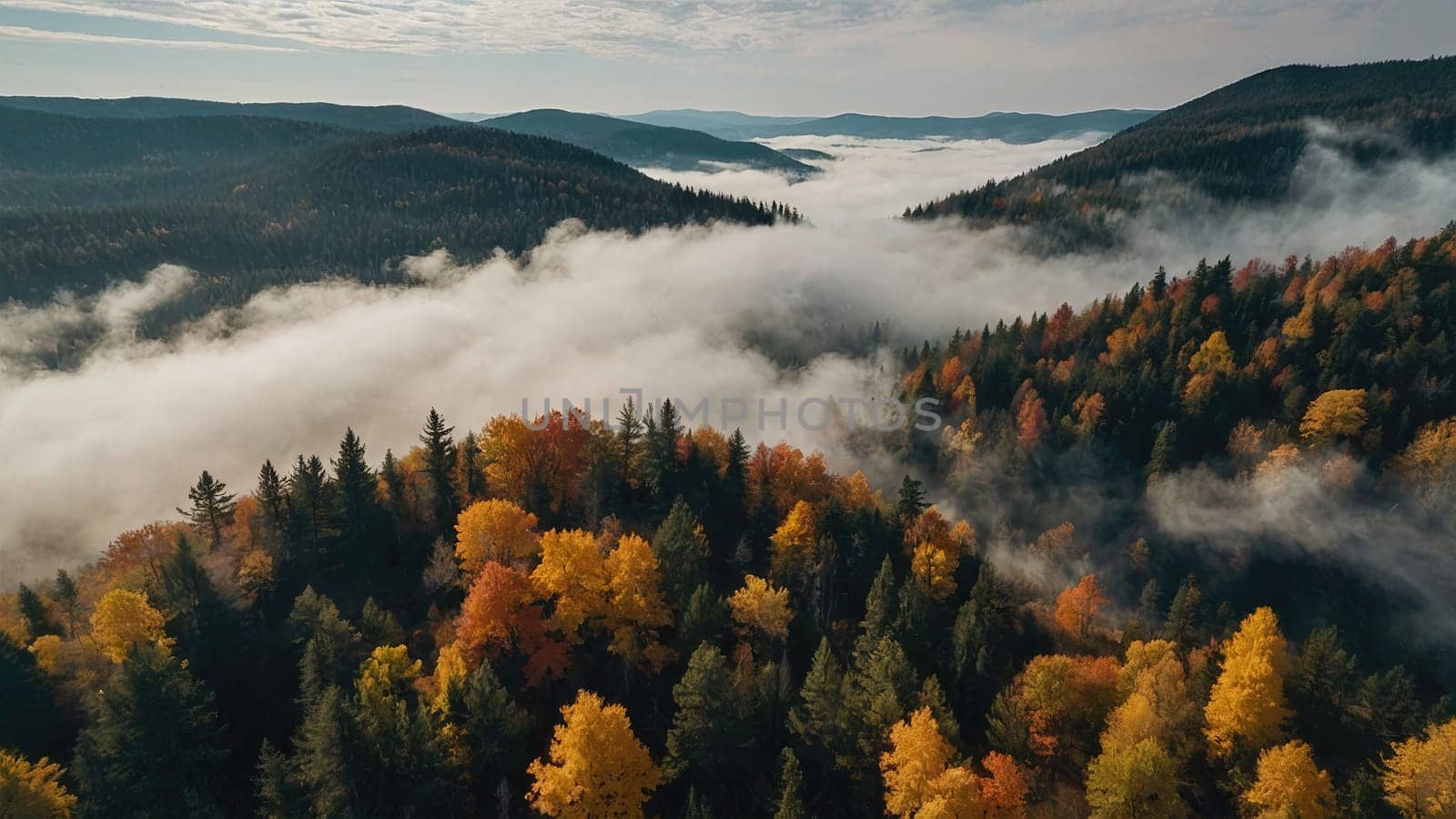 The image shows a colorful autumn forest with a dense fog from above. The trees are in various shades of yellow, orange, and red, and the fog gives the scene a mysterious and ethereal feel.