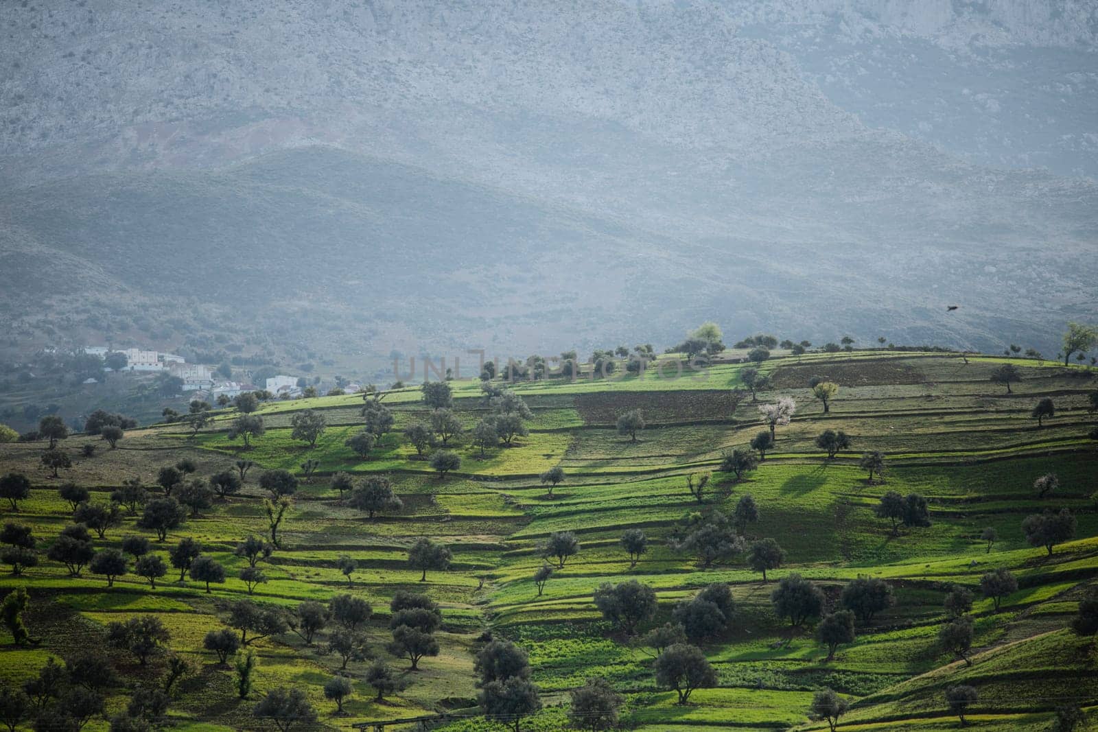Mountains in Morocco. Travel destination in Africa. Vacation trip. Moroccan culture. Summer holiday. North Africa. Mountain landscapes