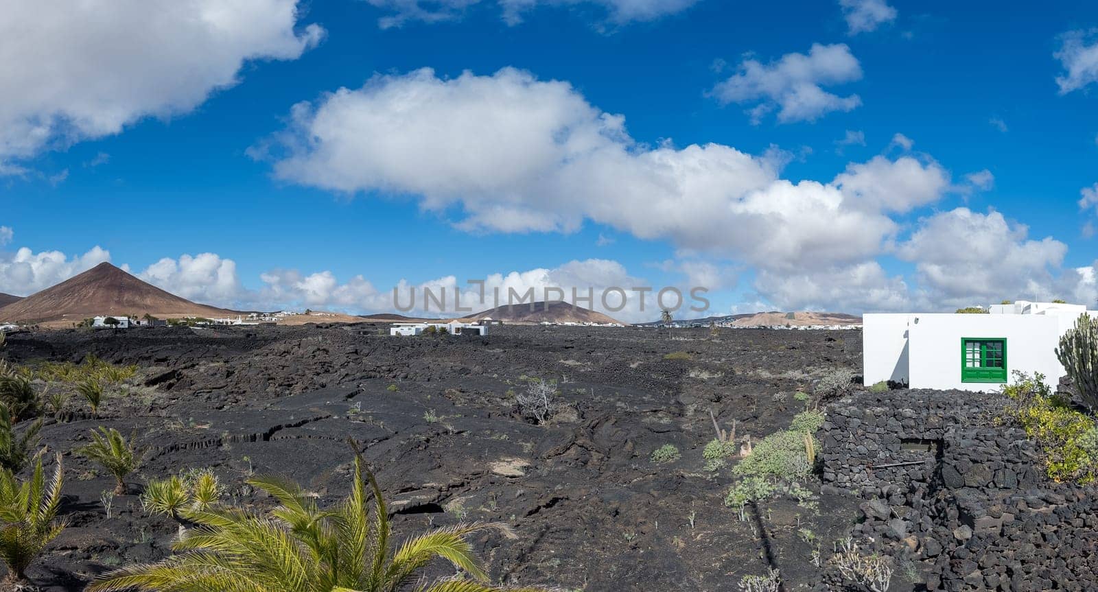 Lanzarote's volcanic terrain features white houses under a vibrant blue sky, highlighting its unique architecture and natural beauty.