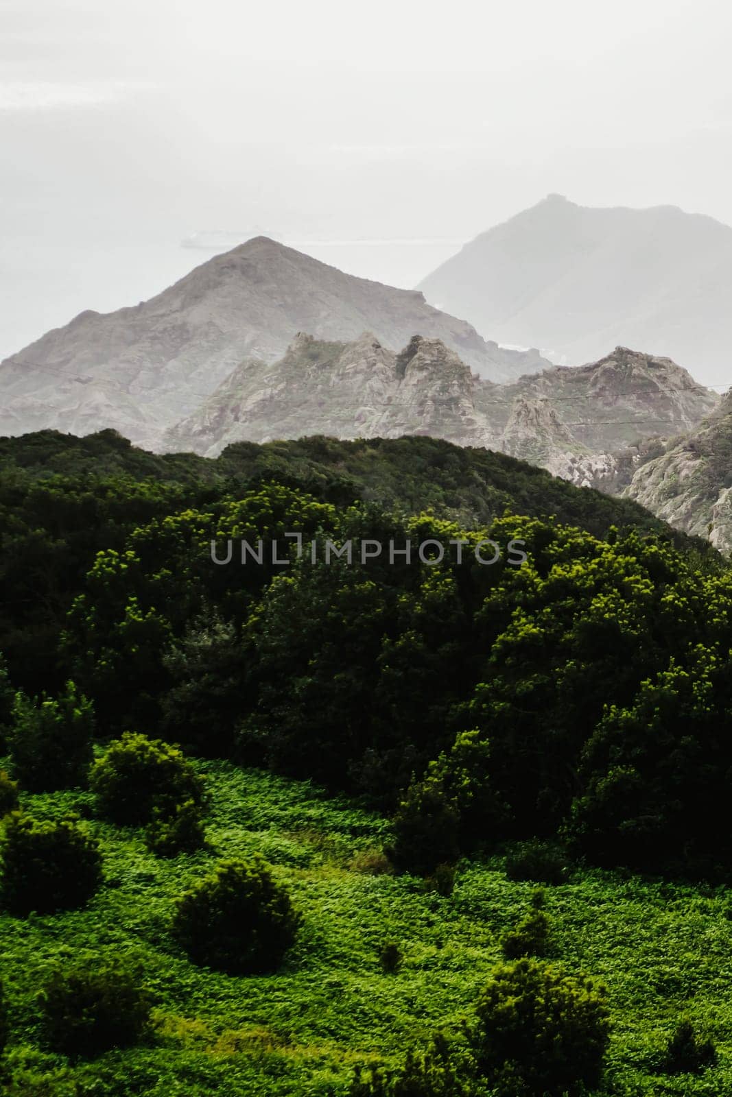 Atmospheric landscape with rocks and green damp forest in the fog, view of the road among the mountains on a tropical island, way to the national park.