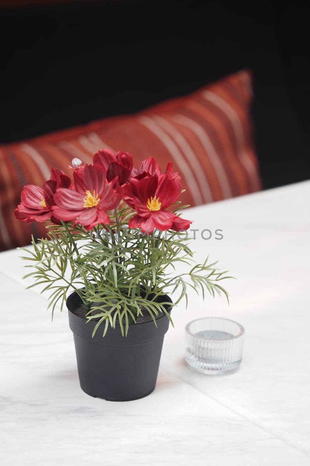 A small potted plant with red flowers sits on a table next to a candle holder.