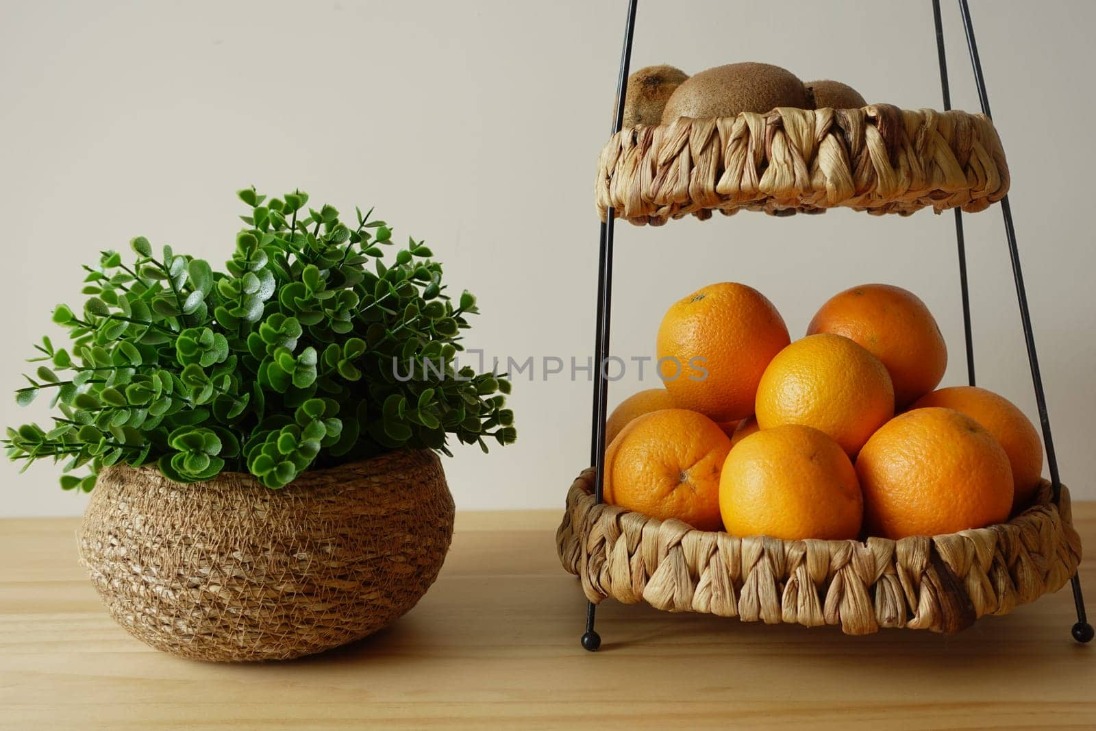 A vibrant arrangement of oranges and kiwis beside a small plant.