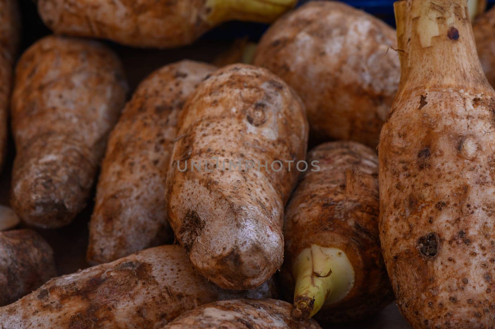 A variety of earthy tubers lie scattered on a market table, their rugged surfaces reflecting the light of a crisp autumn morning as vendors prepare for a lively day of sales.