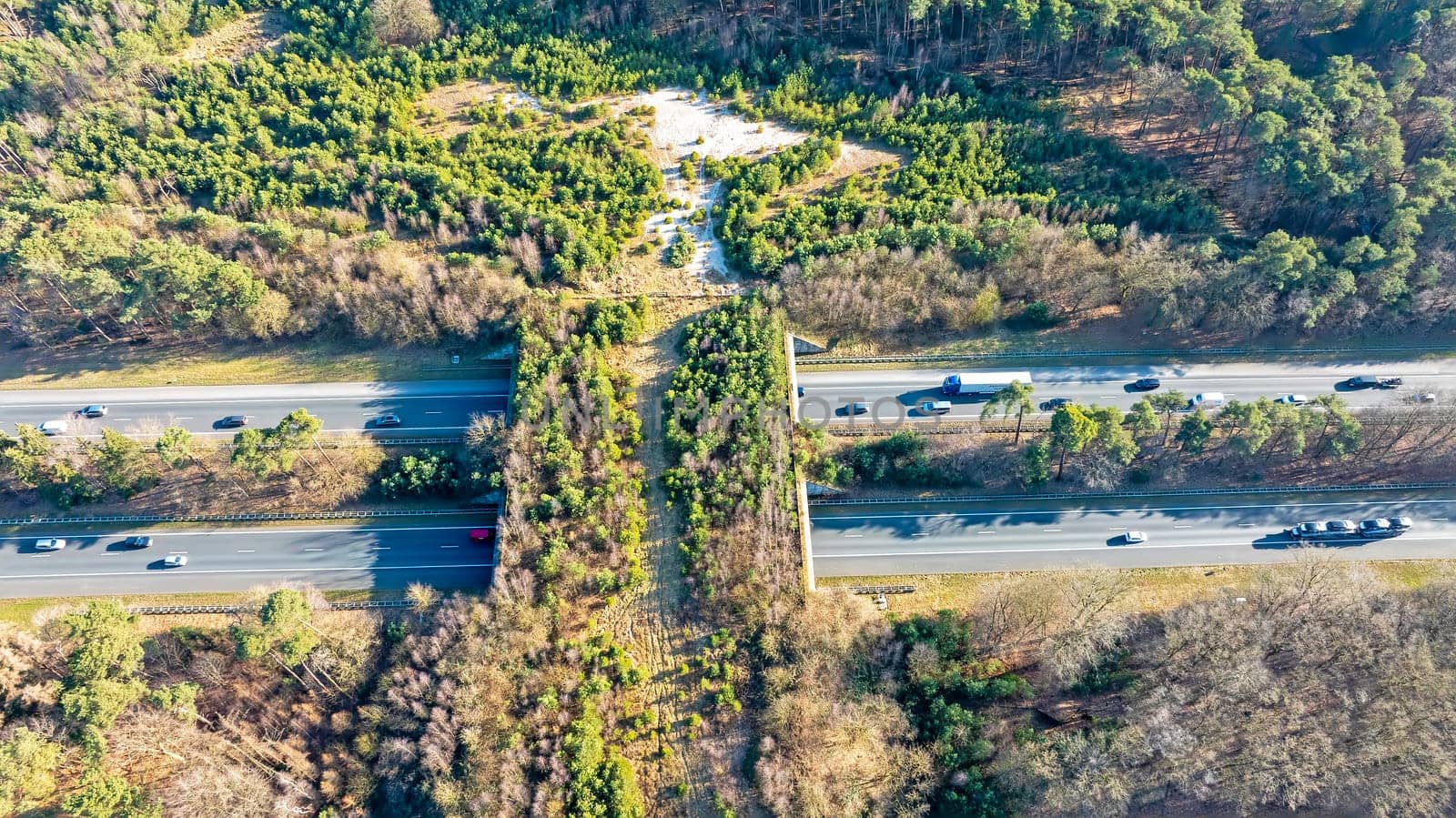 Aerial from ecoduct Hulshorst on the Veluwe in the Netherlands