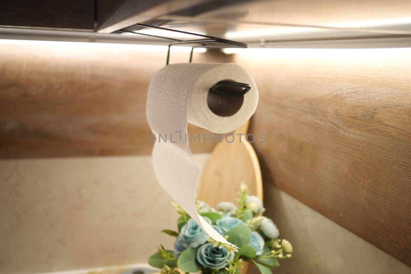 A paper towel roll is positioned above a wooden counter with plants nearby.
