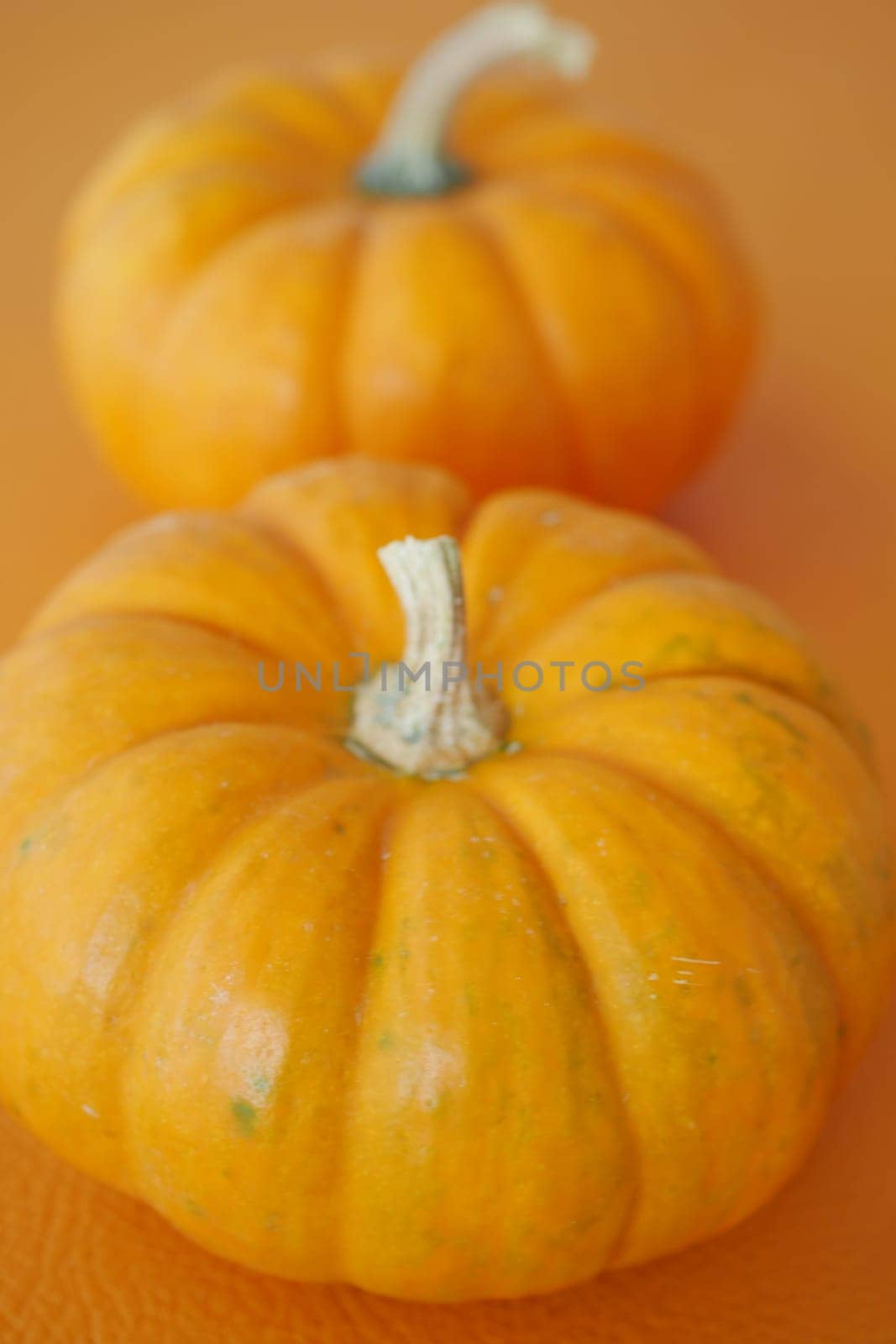 Bright orange pumpkins rest on an orange base, reflecting autumn hues.