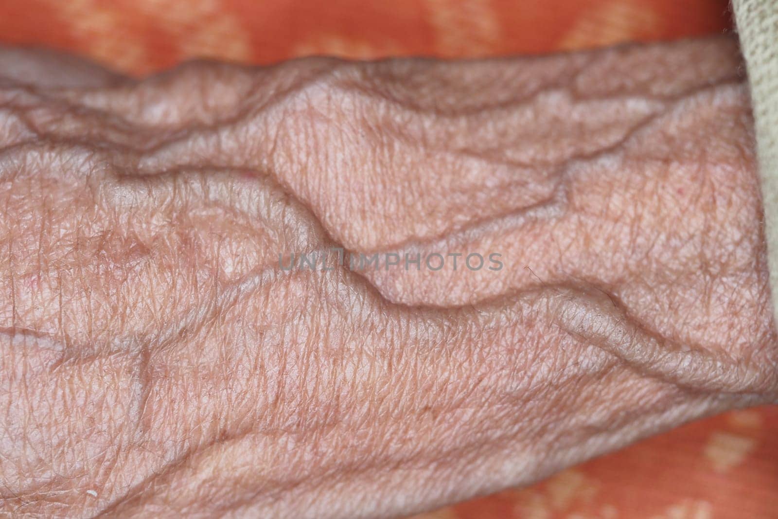 Close-up of a wrinkled hand showing age and experience in soft light.