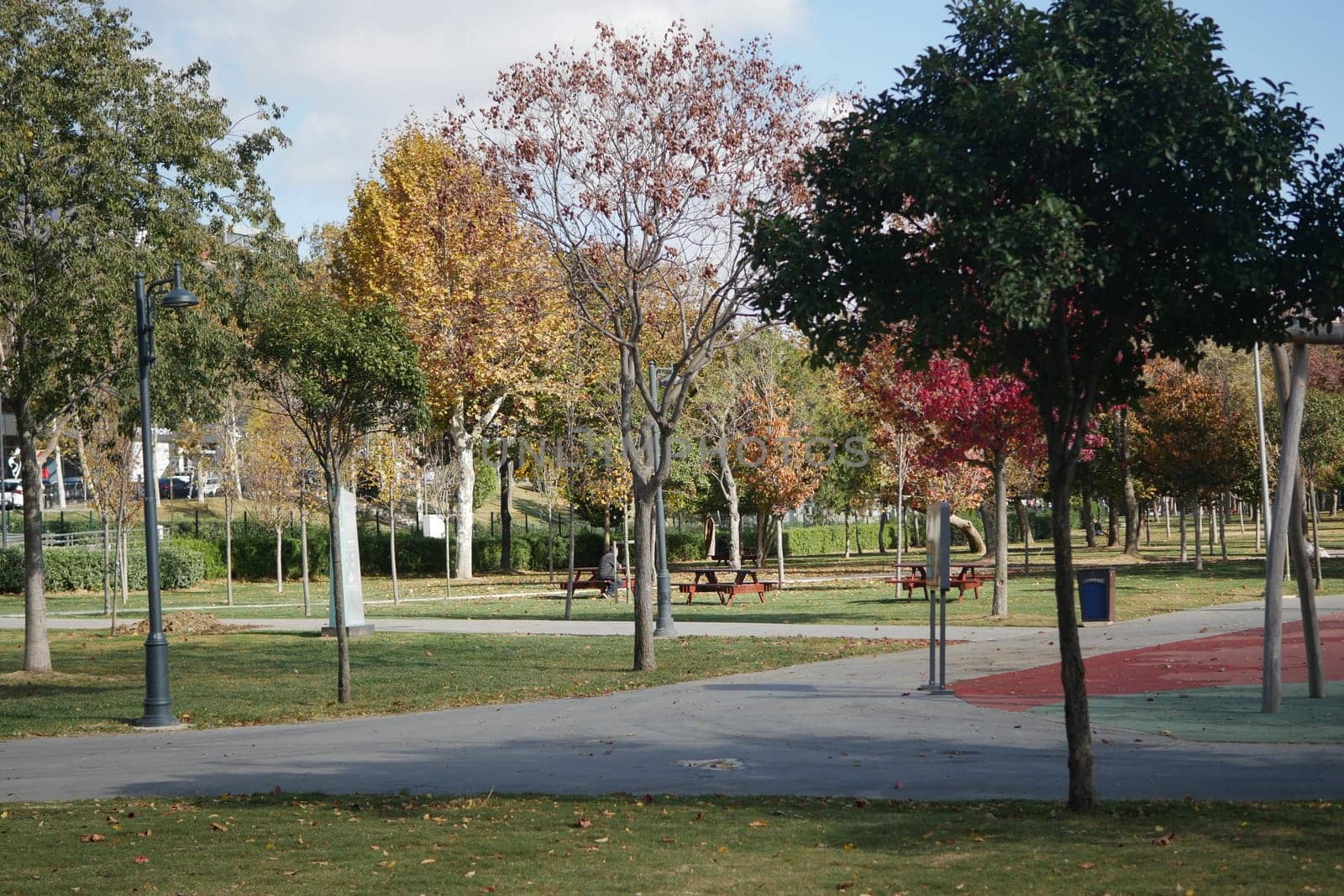 Bright autumn afternoon highlights trees and benches in a city park.