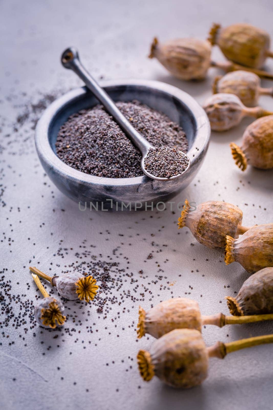 Organic poppy seeds in small bowl with poppy heads