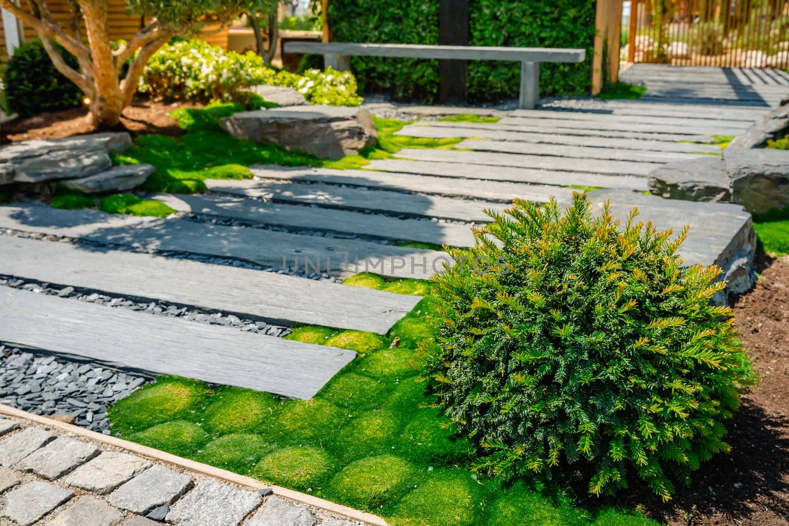 Conifer and slate path with bark mulch and native plants in Japanese garden. Landscaping and gardening concept.