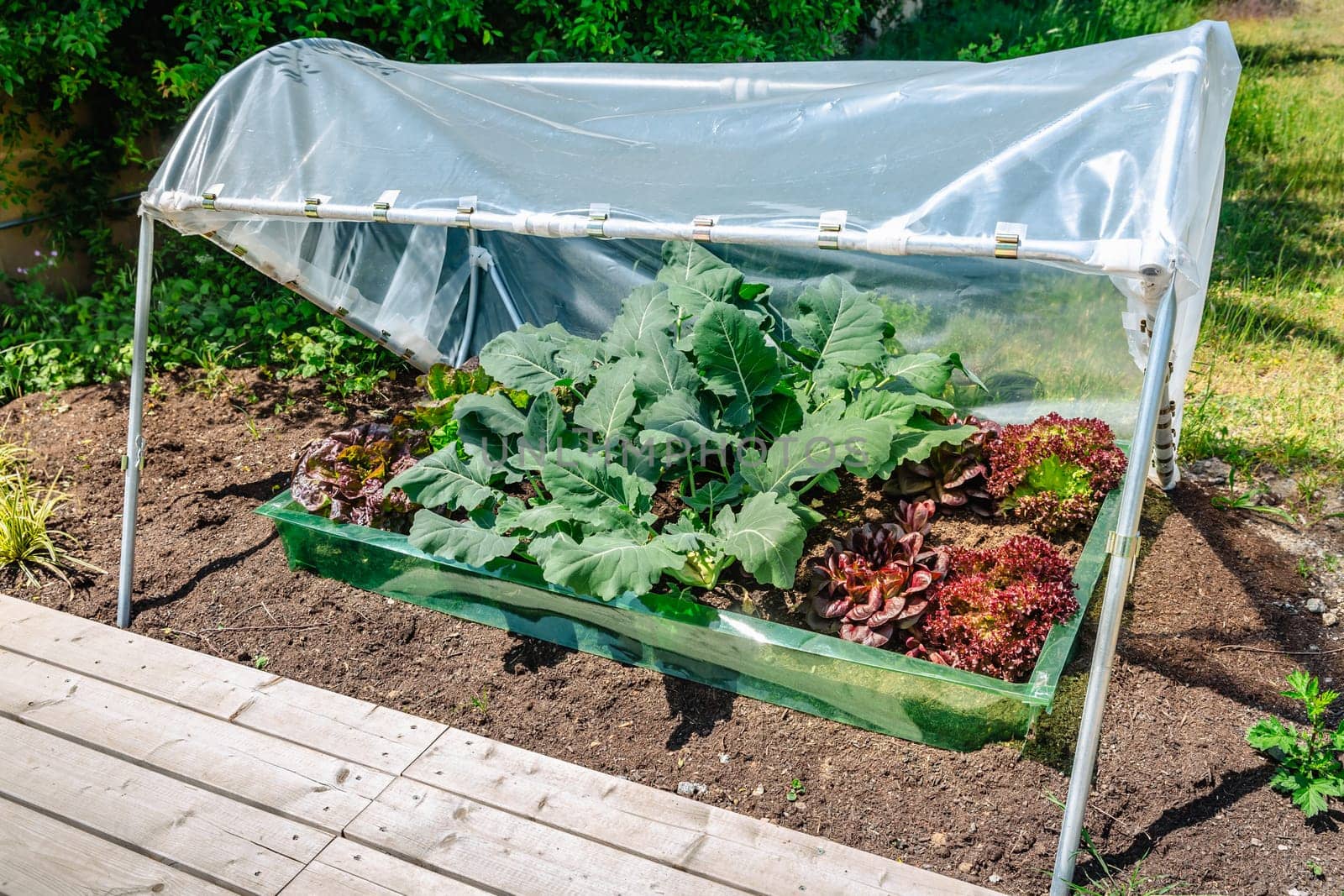 DIY plastic greenhouse or foil greenhouse for food production for small gardens, cold weather protection