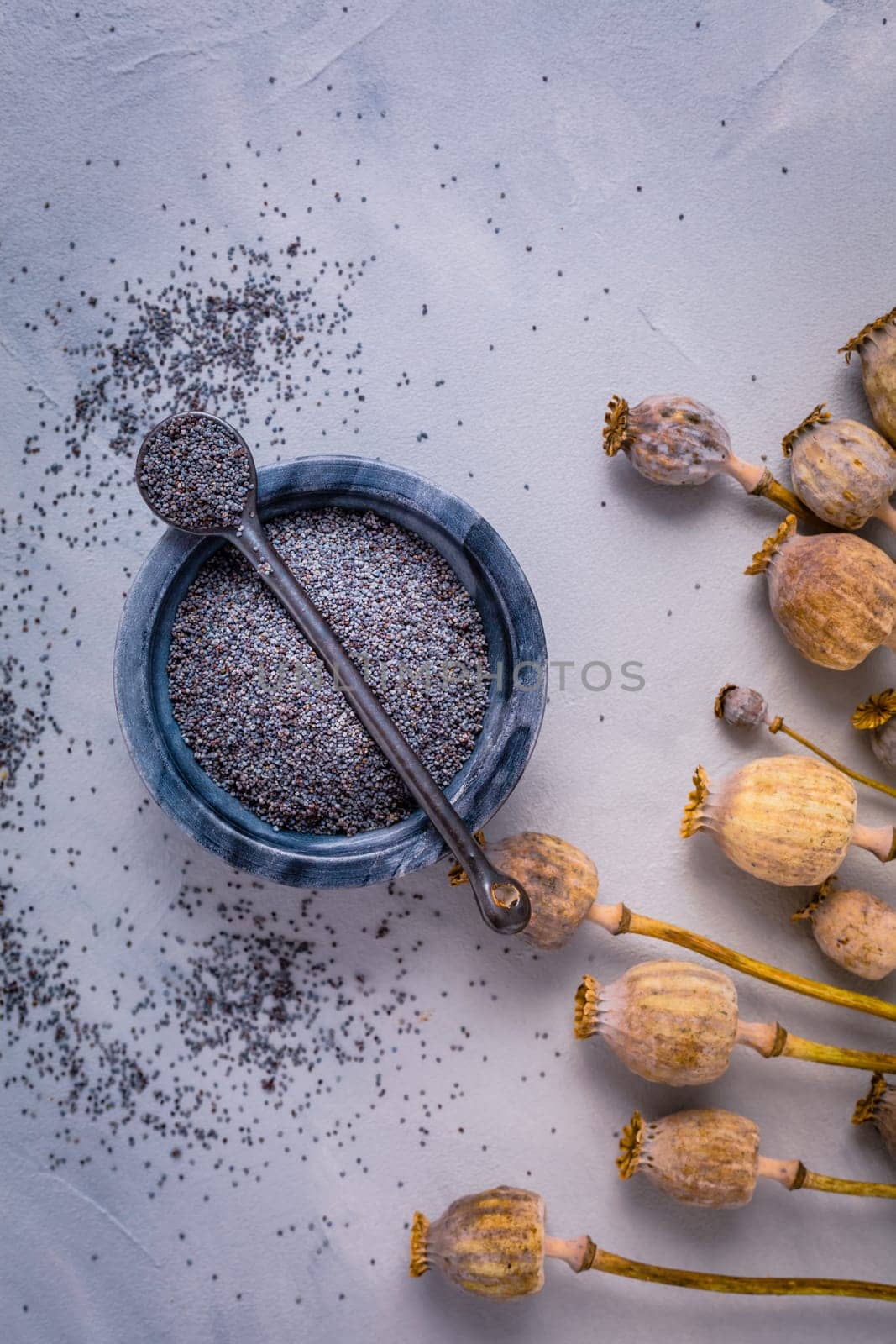 Organic poppy seeds in small bowl with poppy heads