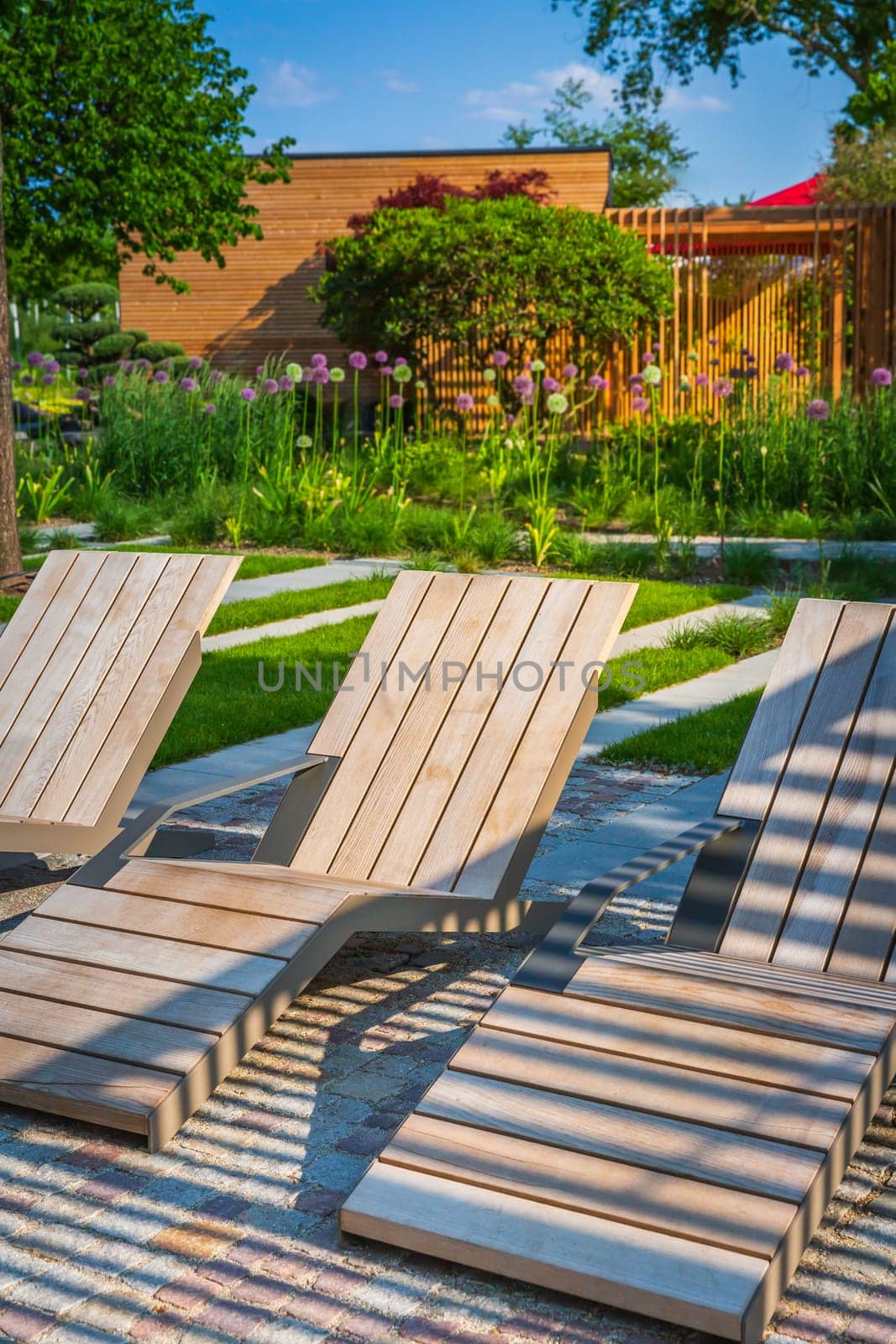Modern wooden deck chairs or chaise longues for patio or garden