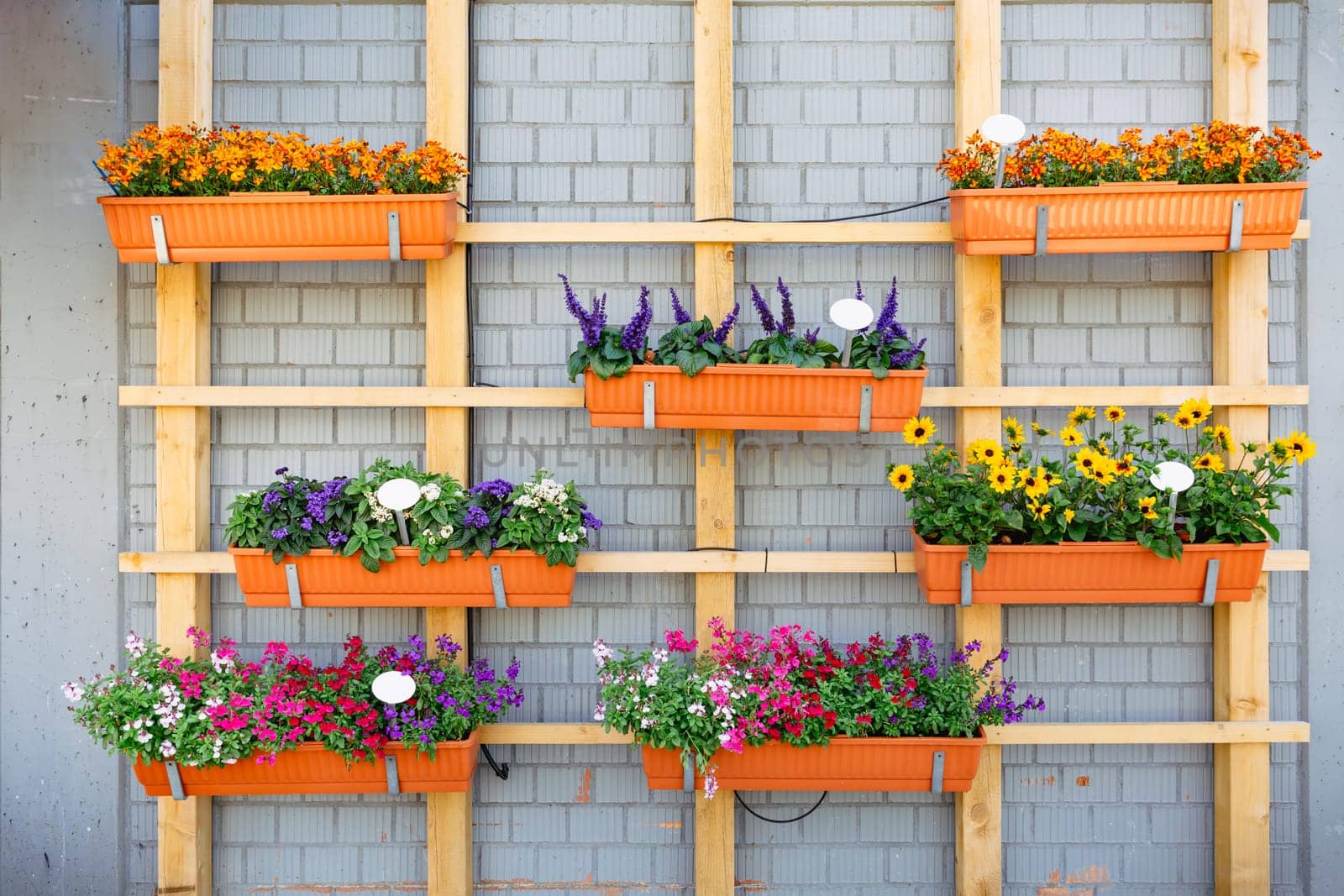Outdoor hanging flower pots for small garden, patio or terrace