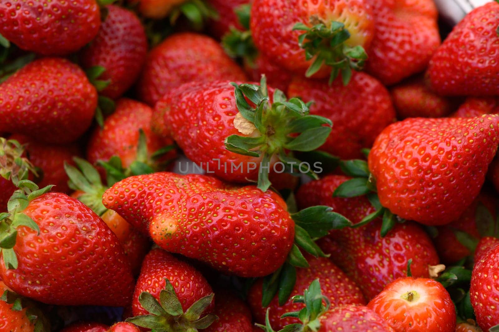 Vibrant, juicy strawberries fill the display at a bustling local market, their rich red color contrasting with lush green leaves as shoppers browse for the freshest produce.