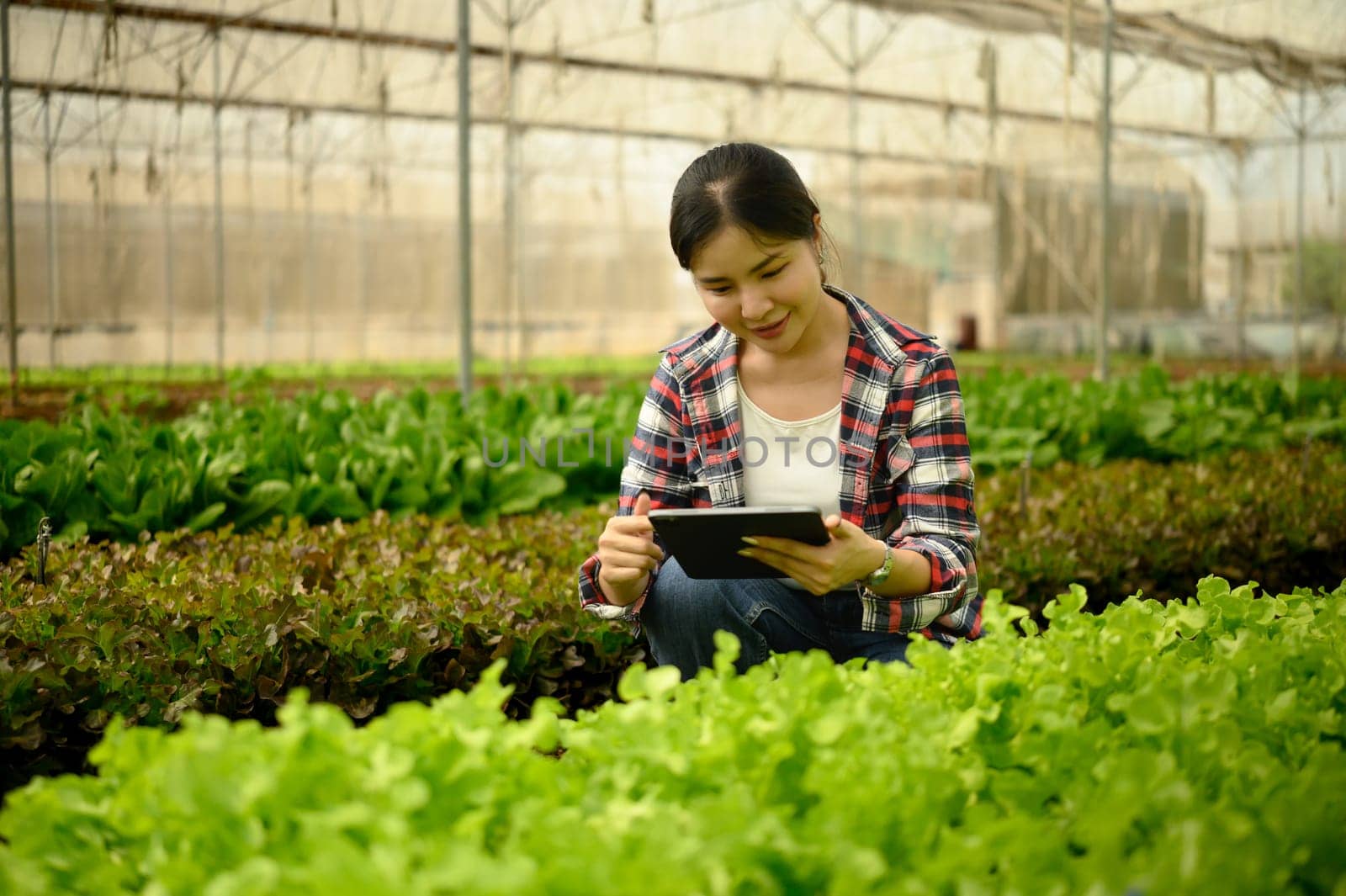 Female farmer in plaid shirt using digital tablet to analyze crop conditions in greenhouse.