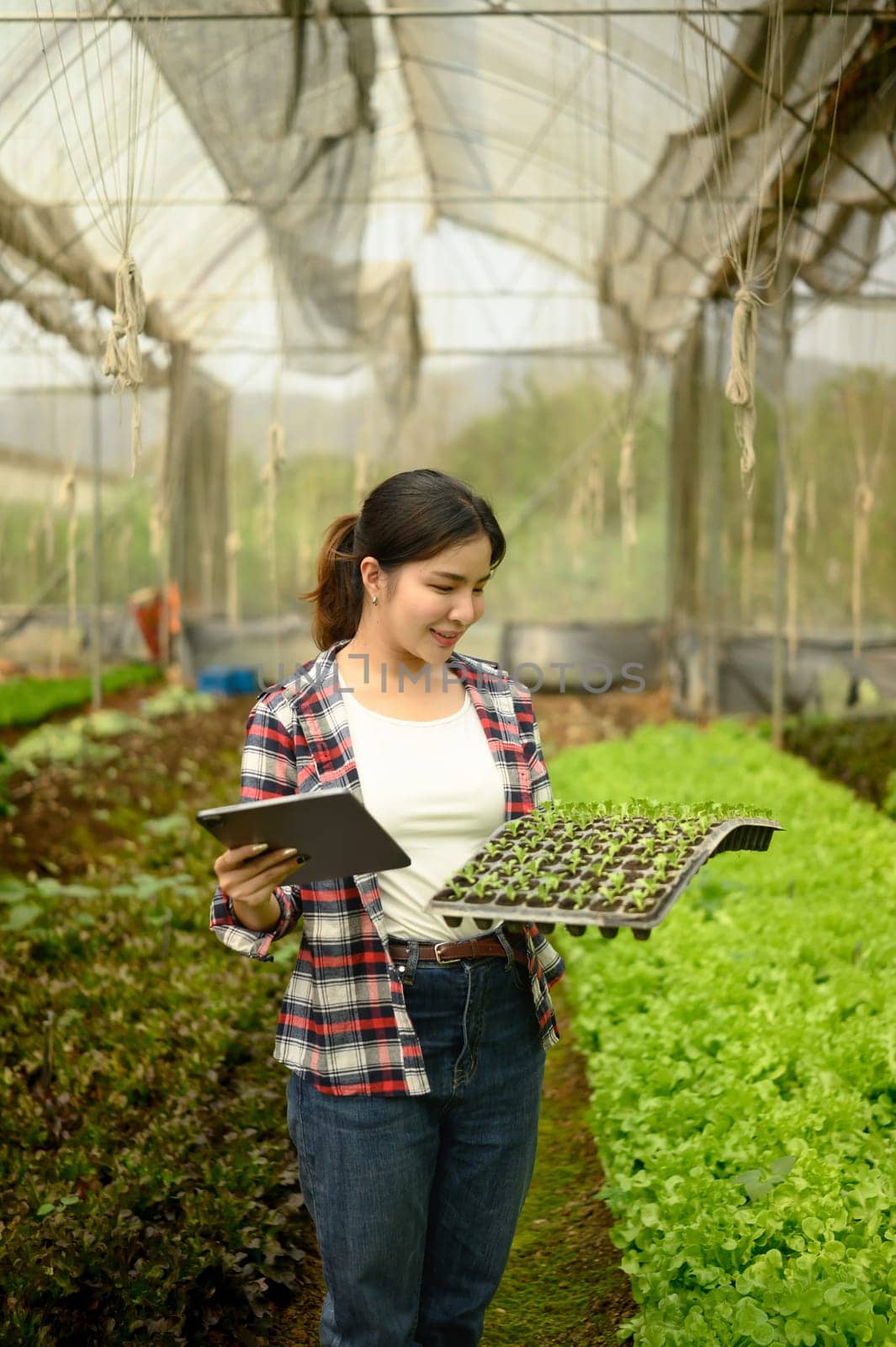 Smiling woman holding a tray of seedlings while checking data on digital tablet inside a greenhouse.
