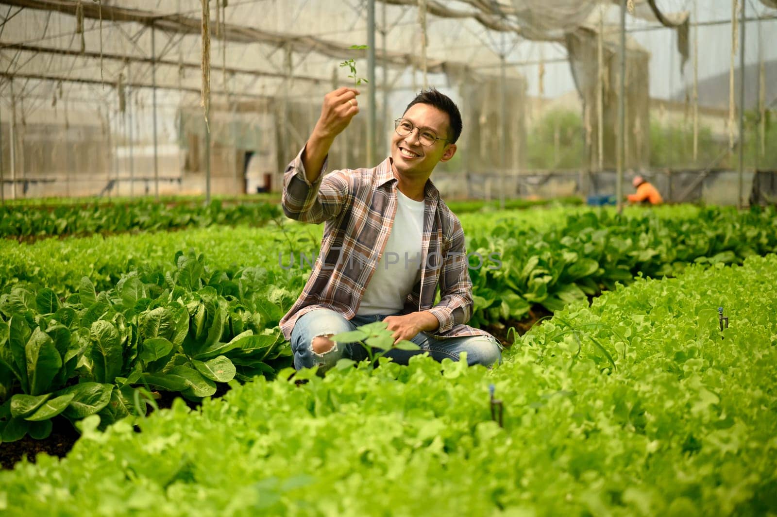 Smiling male farmer inspecting plant inside a greenhouse.