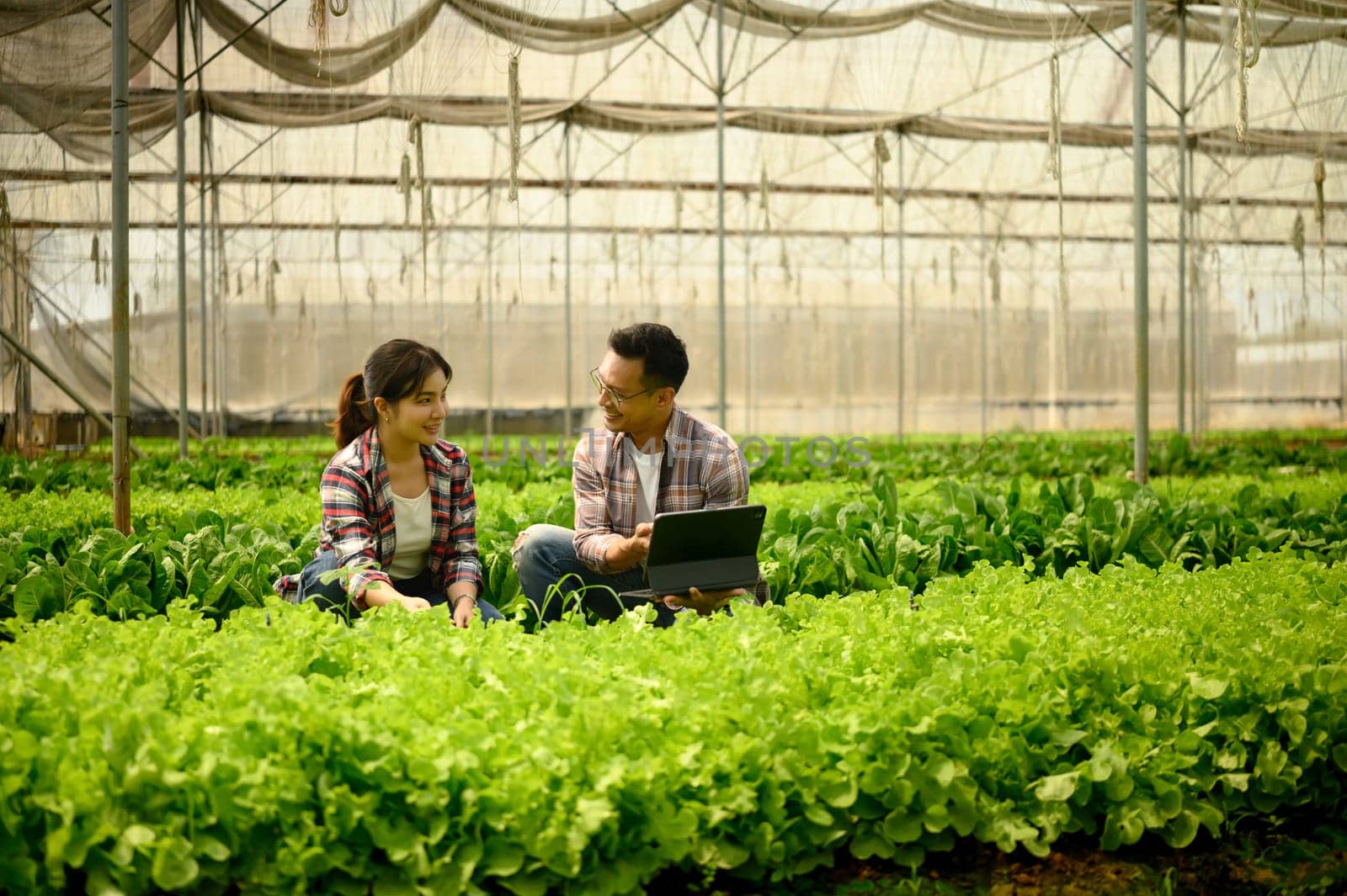 Farmers discussing farming progress while using a digital tablet in greenhouse.