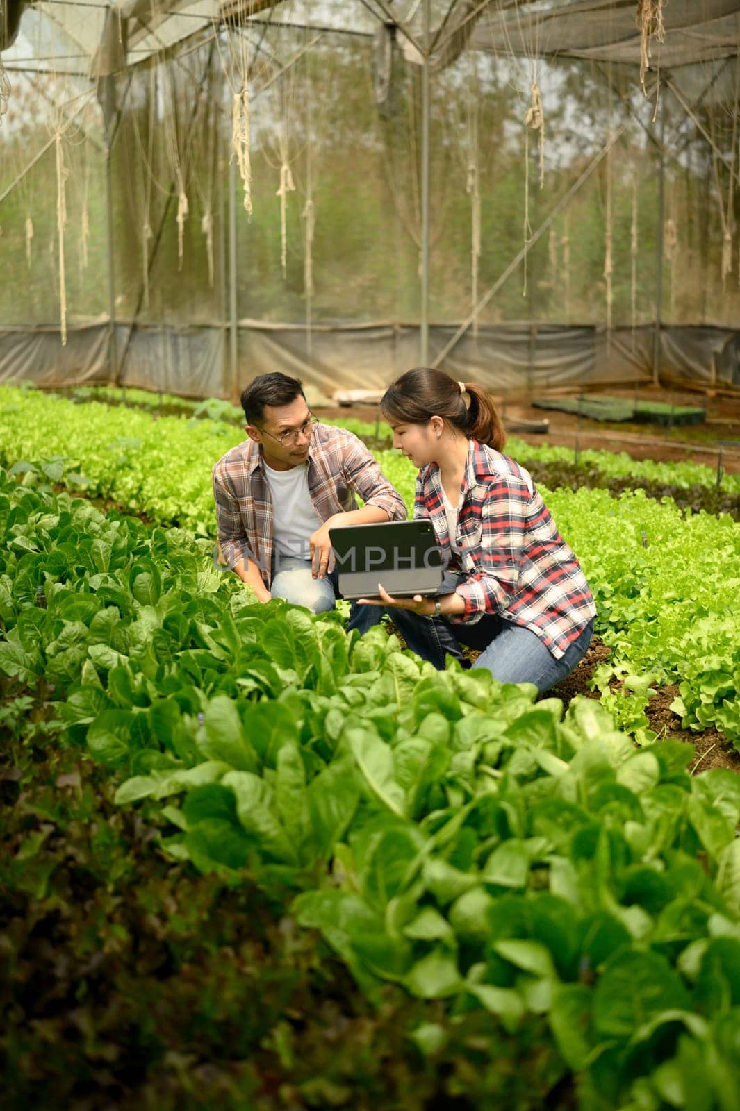 Male and female farmers using digital tablet while examining plants in a greenhouse.