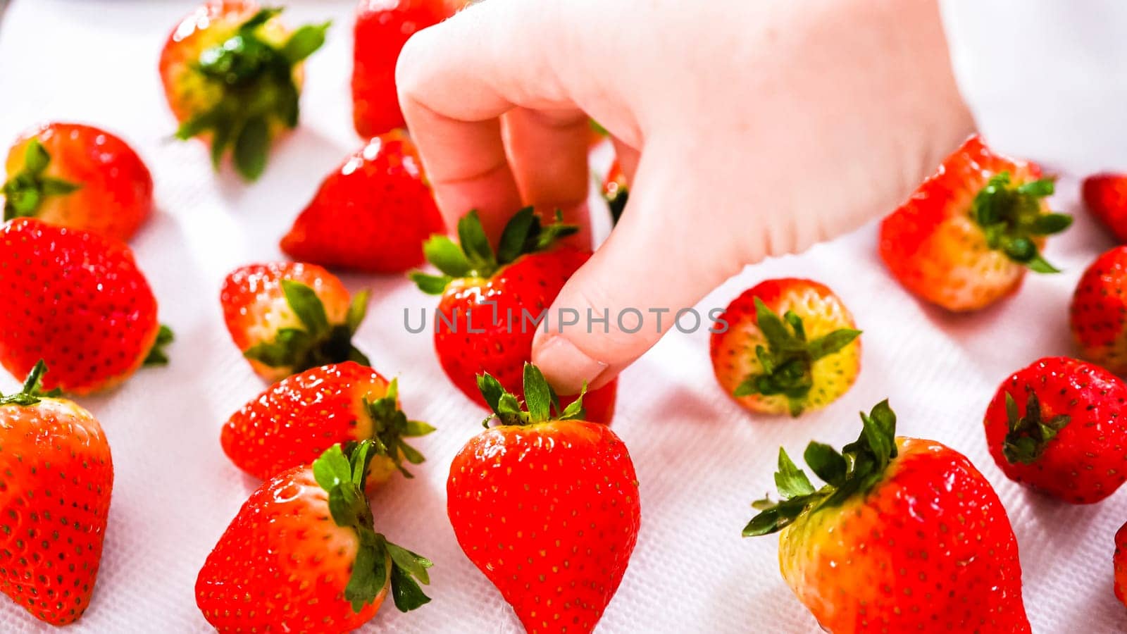 Juicy red strawberries, freshly washed, are spread out to dry on a baking sheet, carefully lined with paper towels to absorb excess moisture and prevent mold.