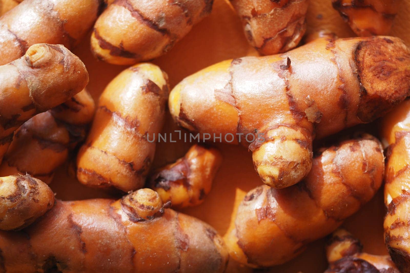 Curved orange turmeric roots are arranged closely, showcasing their texture.