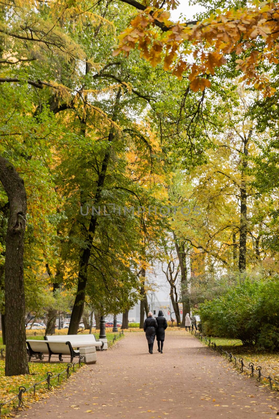 People walking through the autumn park