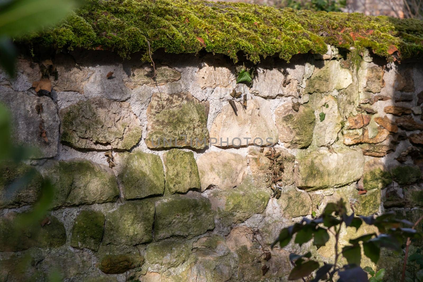 Rough texture of very old weathered stone wall or fence with traces of time and mold and moss on surface. Texture background for design. Mason craft