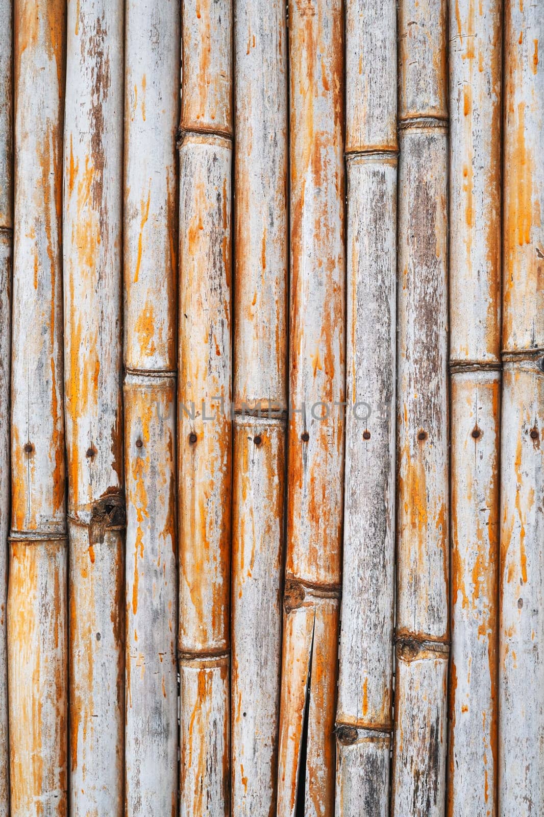 bamboo dry fence background texture with Asian pattern