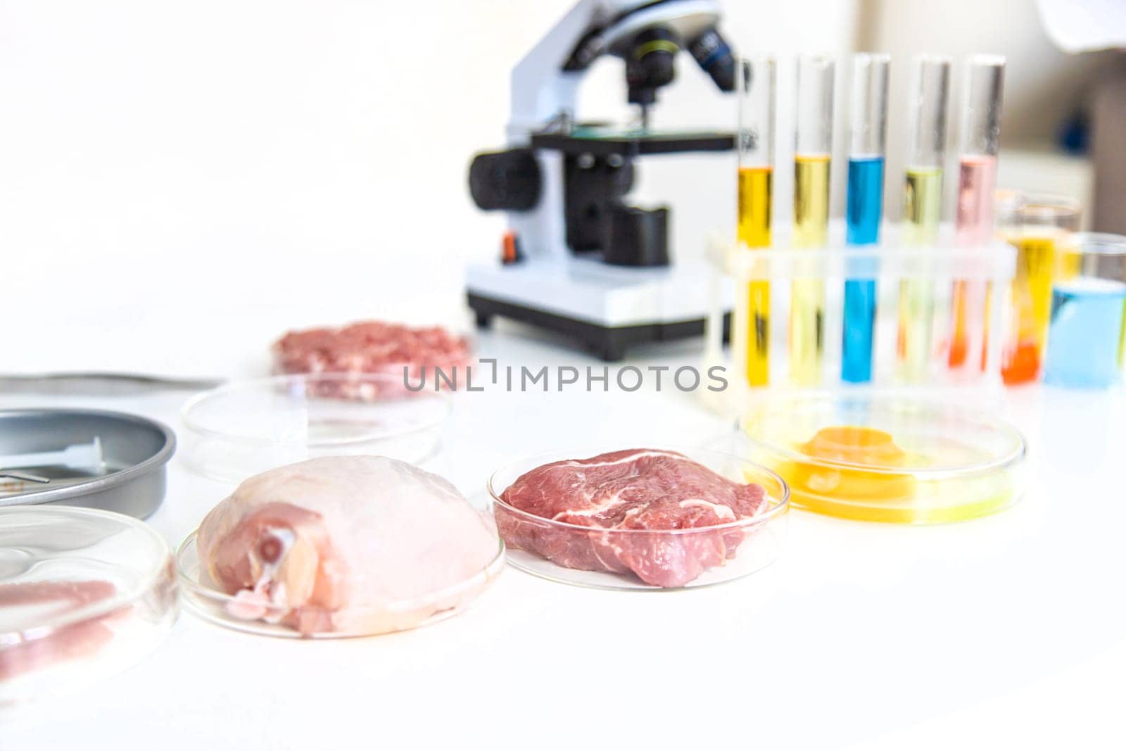Examine meat in the laboratory. Selective focus. Food.