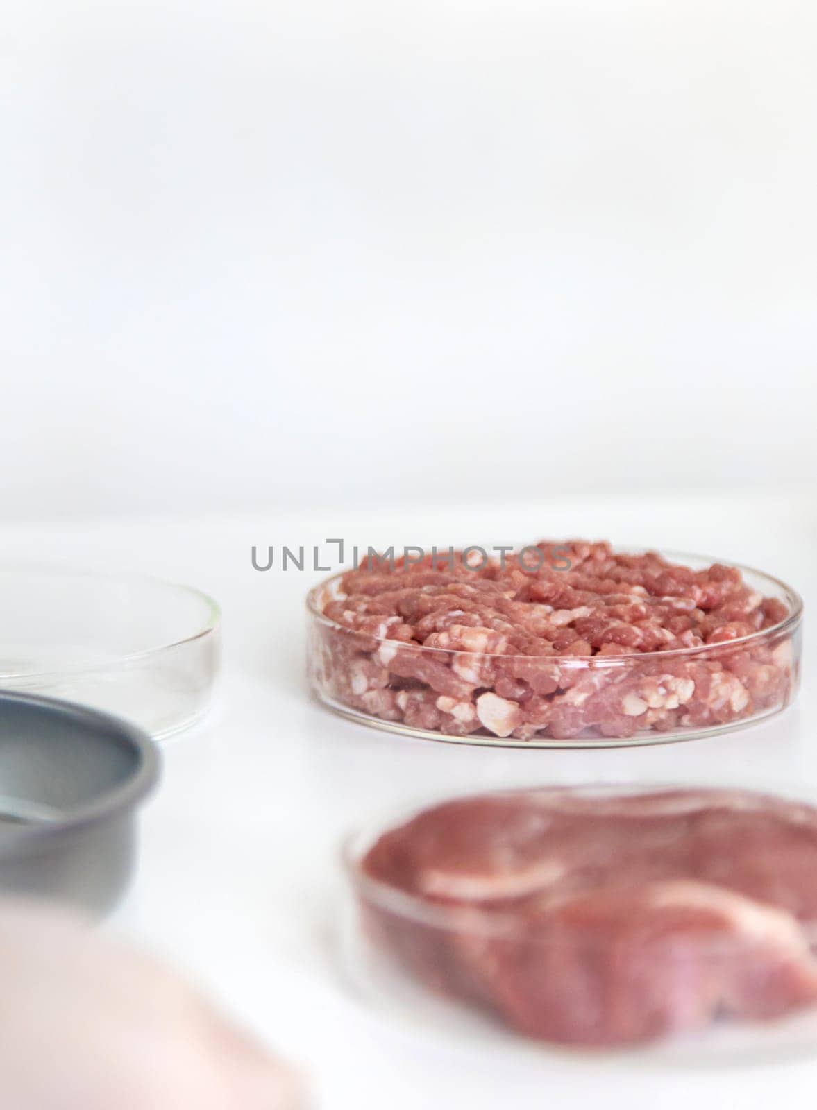 Examine meat in the laboratory. Selective focus. Food.