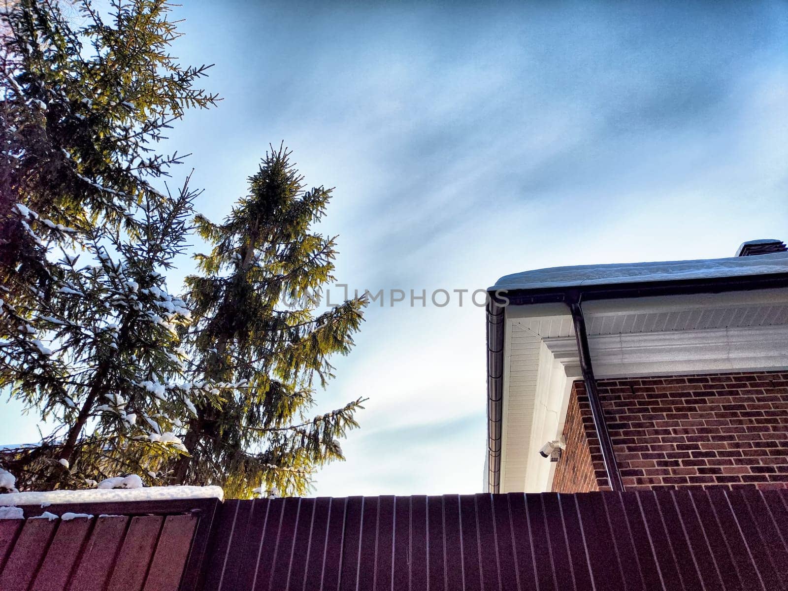 Bright winter sky visible above a residential home, framed by evergreen trees standing near a wooden fence in a serene setting.