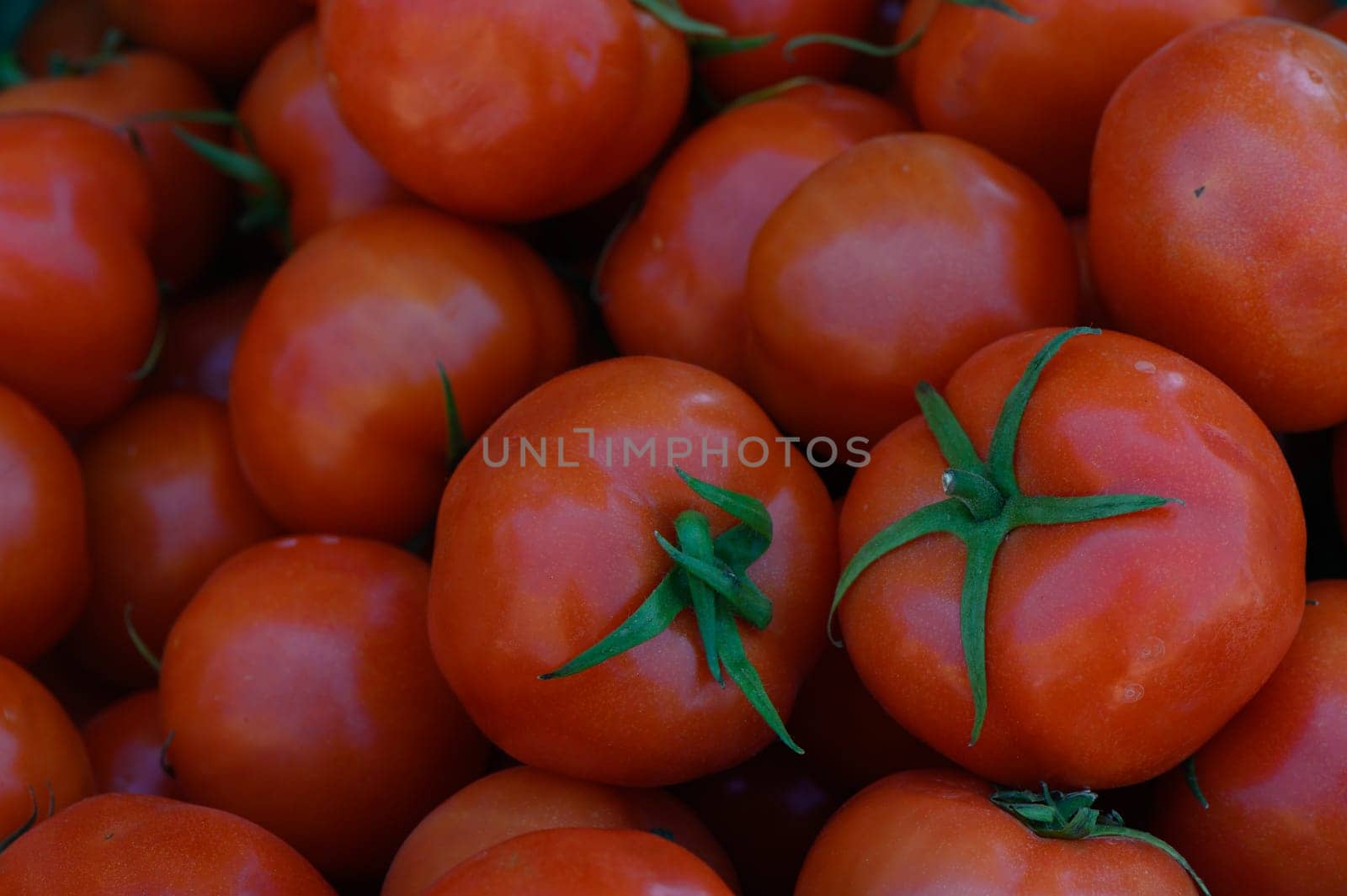 Vibrant red tomatoes are piled high, glistening in the sunlight at a bustling farm market. Their perfect round shapes and green stems create a colorful display of fresh produce.