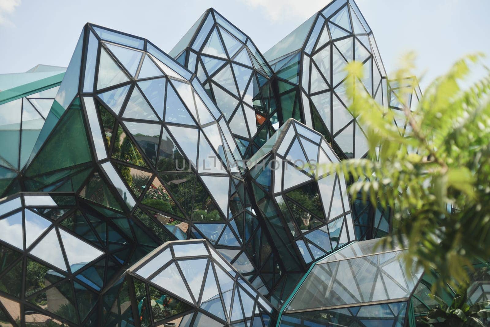 Mirror building in the form of petals or flowers