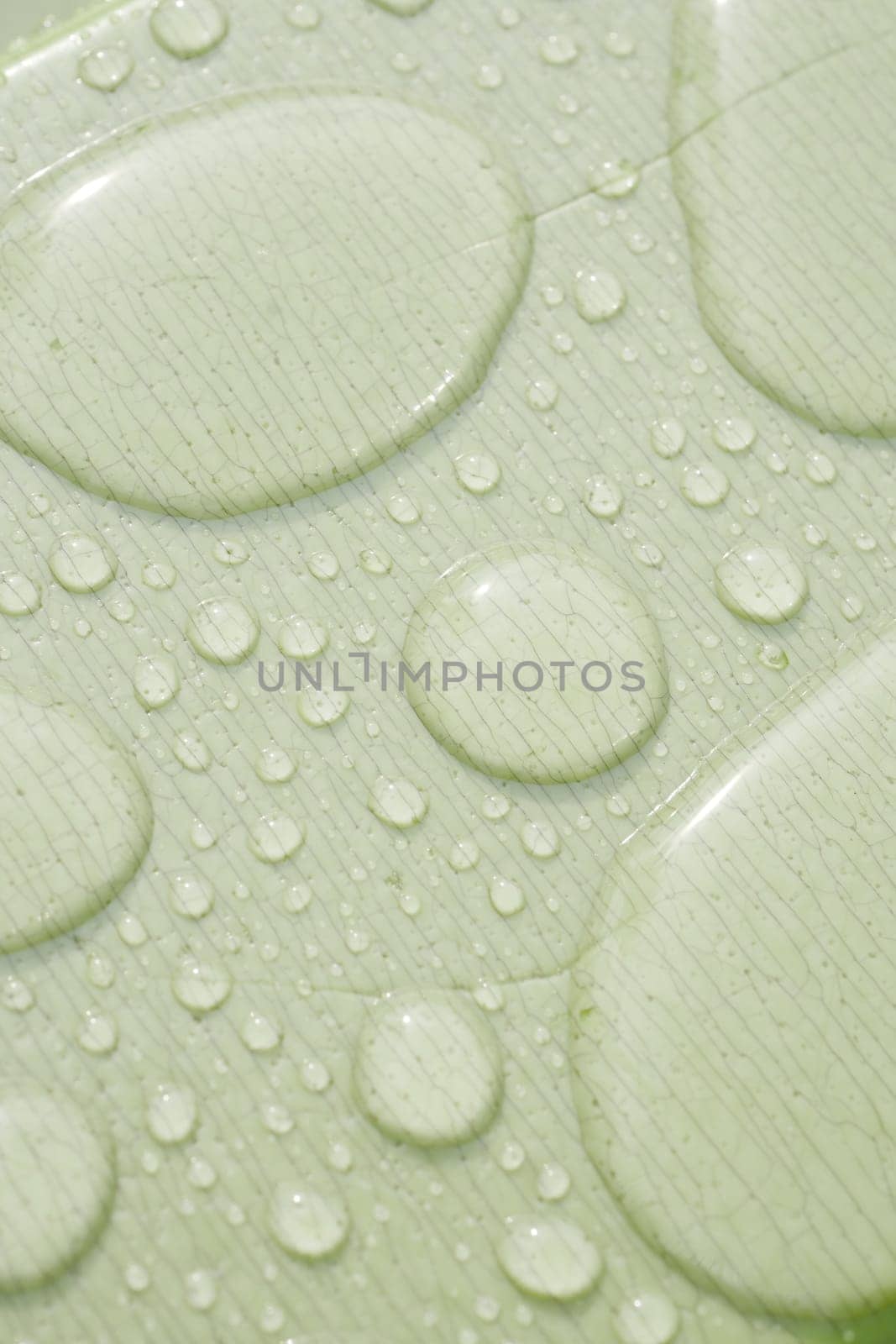 Water droplets gather on a light green surface, reflecting soft light.