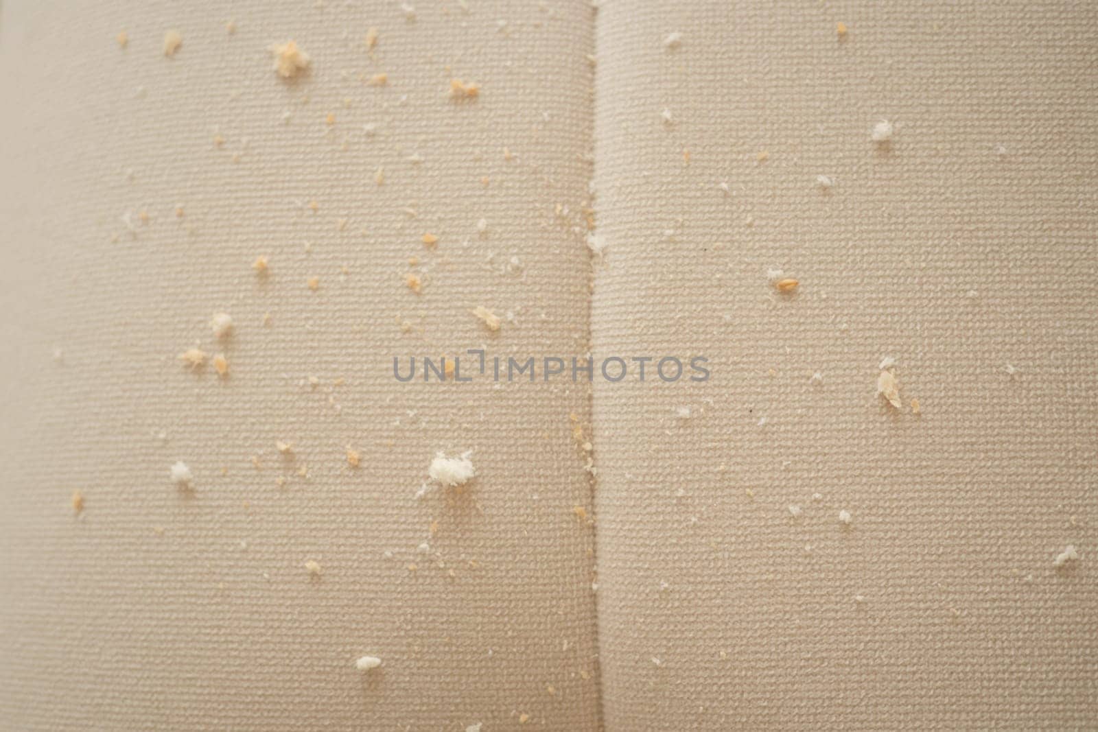 Crumbs scattered on a sofa, dirty sofa concept ,