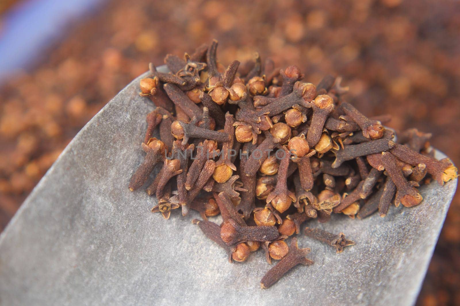 Close-up of cloves resting on a metallic scoop, showcasing their rich texture.