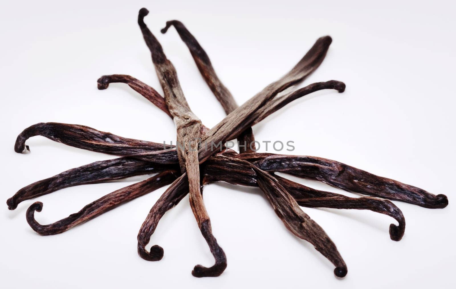 vanilla pods isolated on white background