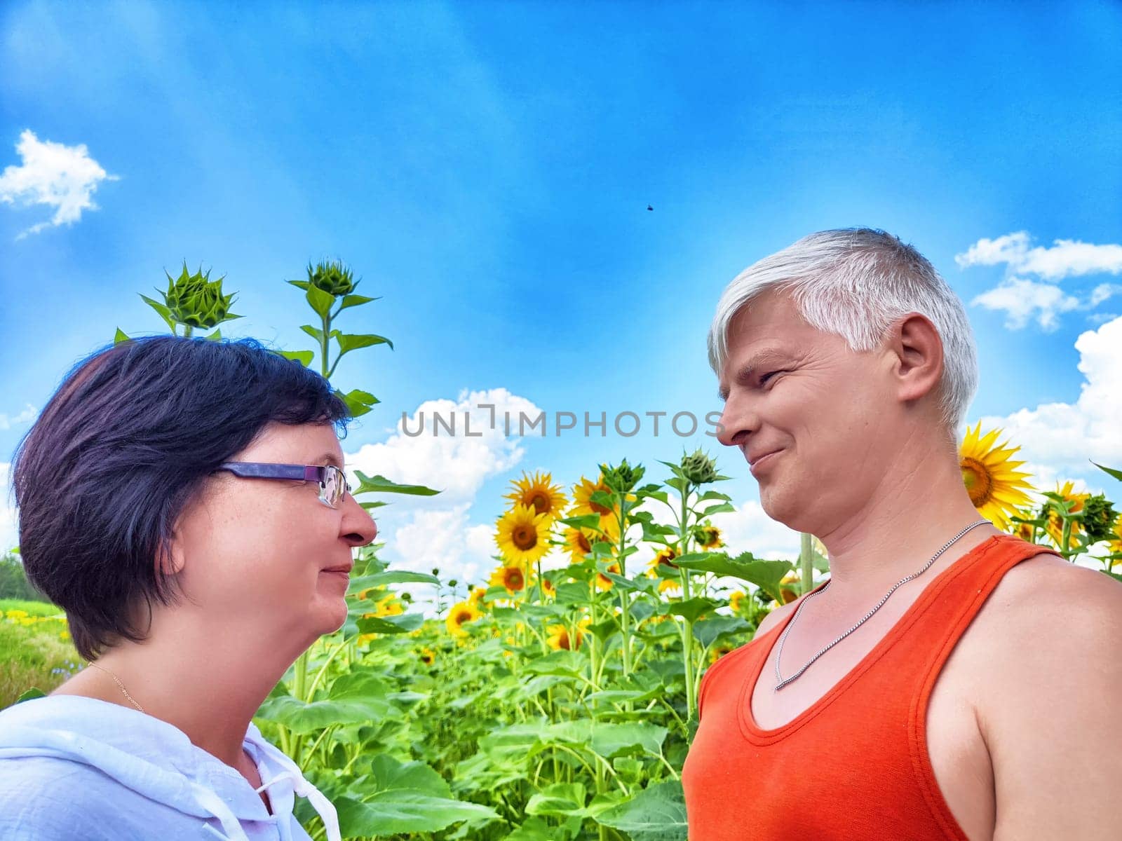 A husband and wife share an affectionate glance while standing amidst vibrant sunflowers. The bright blue sky enhances their joyful moment outdoors on a sunny day.